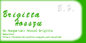brigitta hosszu business card